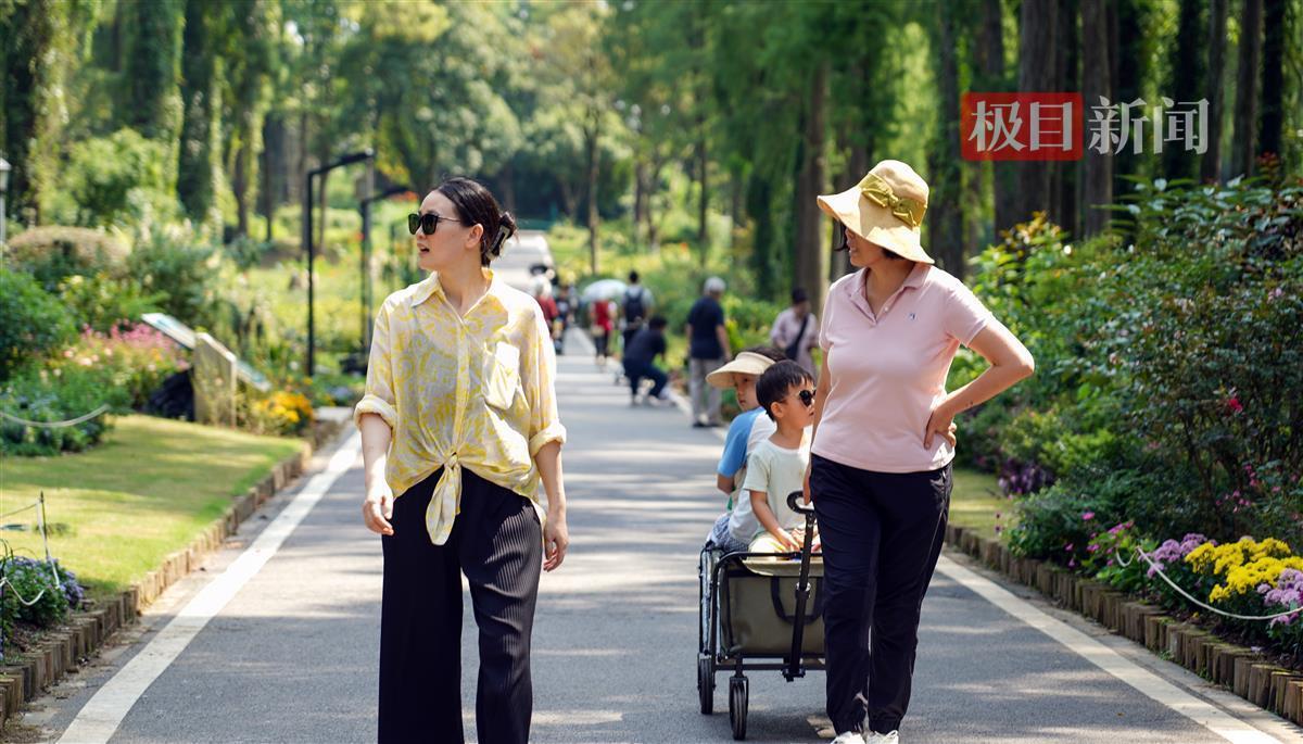 新莆京app官网下载8883